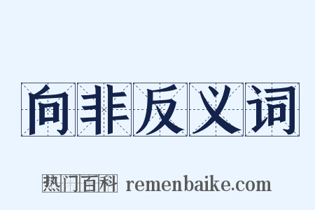 向非反义词是什么意思的图片